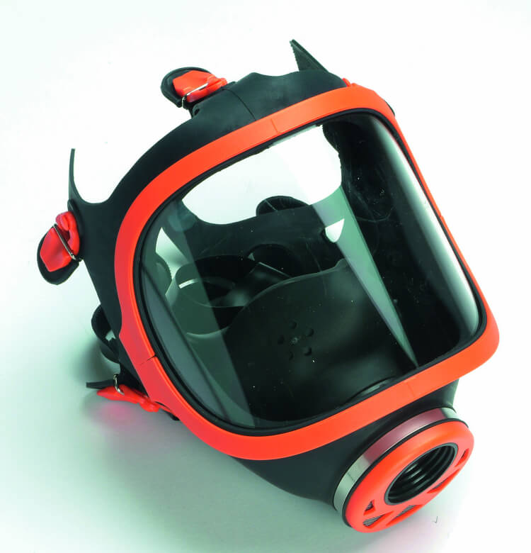 Panorama-entire-mask